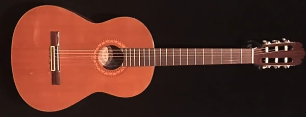 ギター GIO ibaniez Amazon.co.jp: Ibanez(アイバニーズ) GIOシリーズ エレキギター