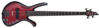 Ibanez EDA900 4-String Bass Guitar (Silver Flat) | zZounds