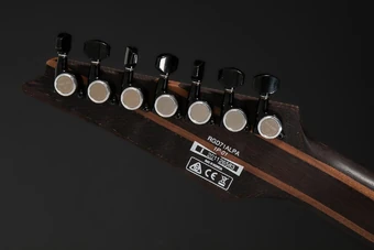 RGD71ALPA | Ibanez Wiki | Fandom