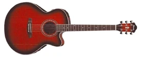 2002 AEL20D-TRS