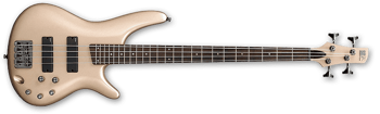 2015 SR300 CGD 1P 04
