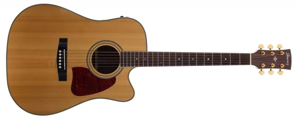 AW300CE (1998–2000) | Ibanez Wiki | Fandom