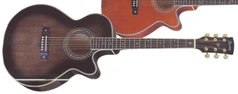 Ibanez AWG1000 アコースティックギター Ibanez AWG1000 アコースティックギター Ibanez AWG1000