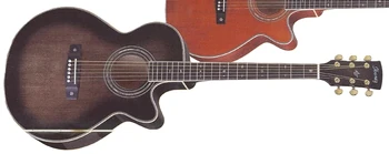 AWG1000E | Ibanez Wiki | Fandom