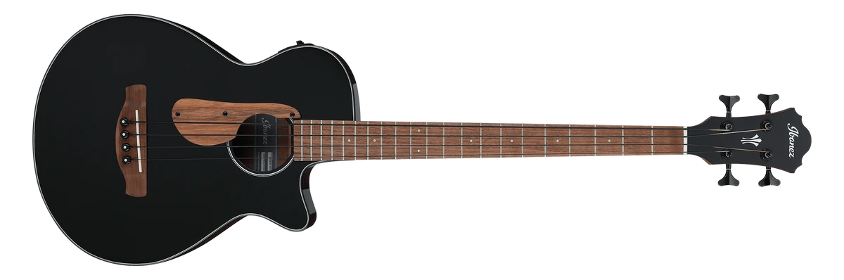 AEGB24E | Ibanez Wiki | Fandom
