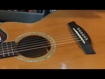 AEG60SE | Ibanez Wiki | Fandom