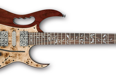 GSZ220 | Ibanez Wiki | Fandom