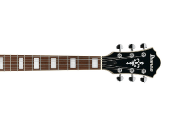 AF75FM | Ibanez Wiki | Fandom