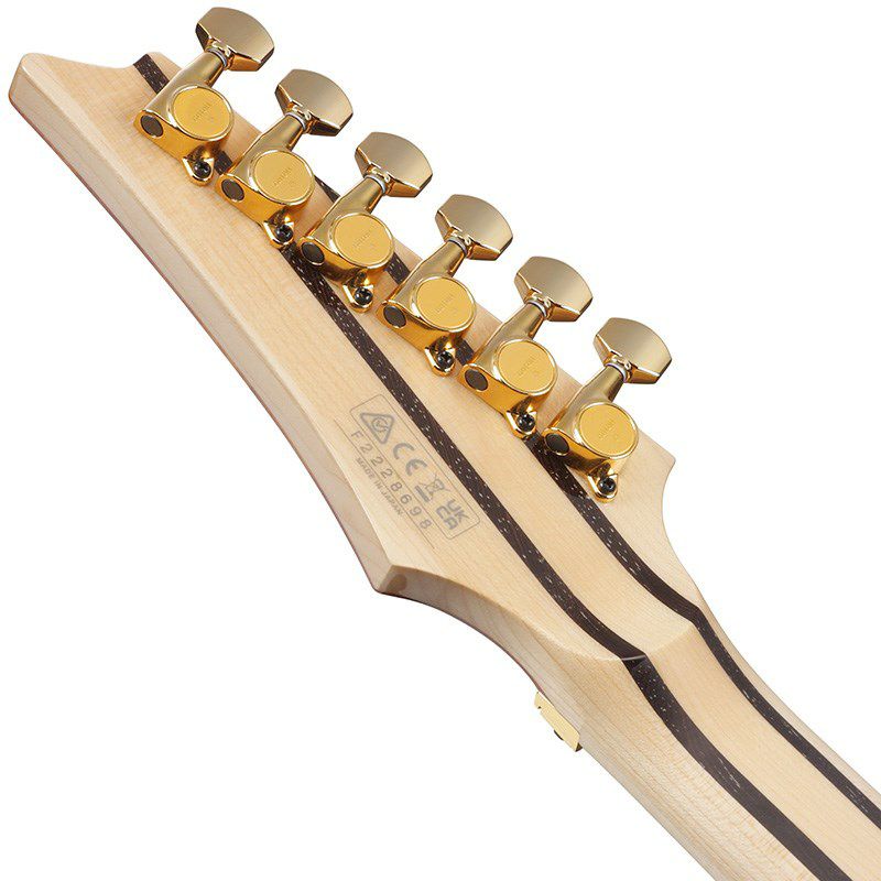 RG8570ZKR | Ibanez Wiki | Fandom
