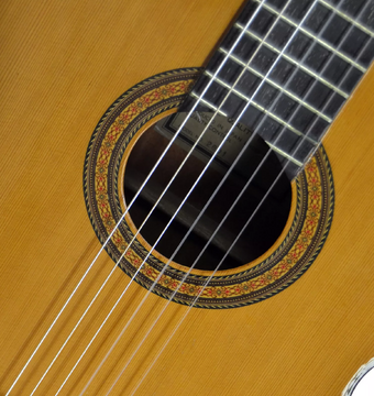 弦楽器 nicky Bowed Instruments — Finlay + Gage Musical Instruments