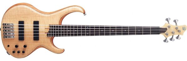 Ibanez btb 1005 discount