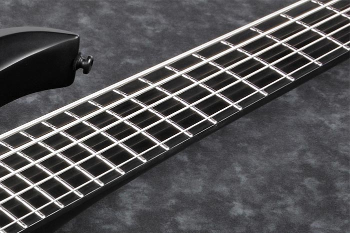 ベース Ibanez BTB625EX Ibanez BTB625EX 5-String Electric Bass | Music & Arts