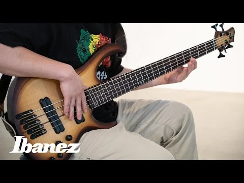 35-34inch_Light_Multi-Scale_BTB705LM_ft._Ryozo