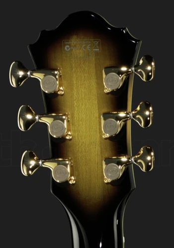 LGB300 headstock rear