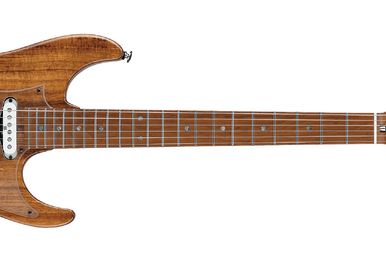 Ibanez talman ftm60 shop