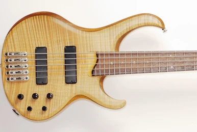 BTB1905LW | Ibanez Wiki | Fandom