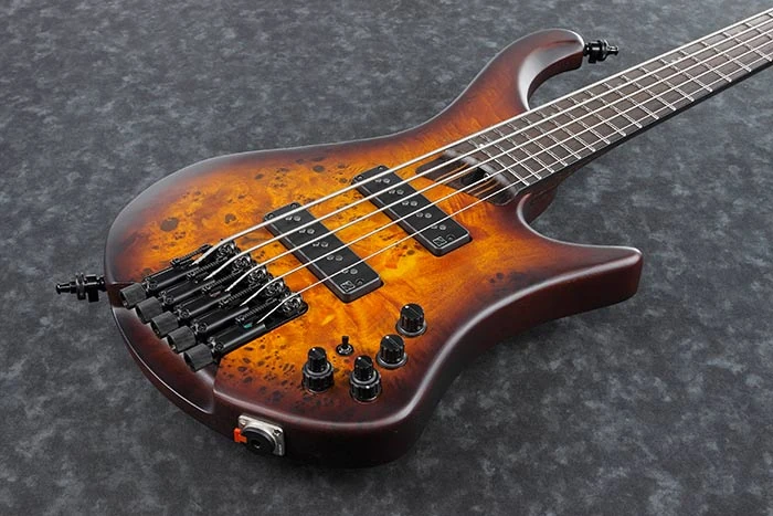 EHB1505 | Ibanez Wiki | Fandom