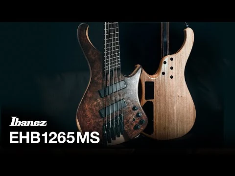 Ibanez_EHB1265MS_Walnut_&_Ash_body