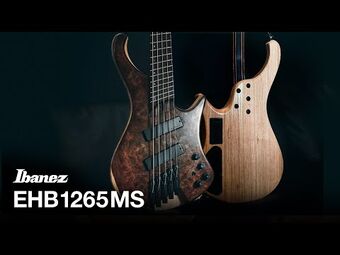 Amazon.com: Ibanez Bass Workshop EHB1265MS 5-string Bass