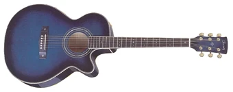 AWG1000E | Ibanez Wiki | Fandom