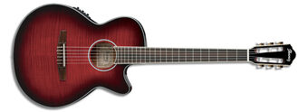Ibanez aeg24ii for sale discount