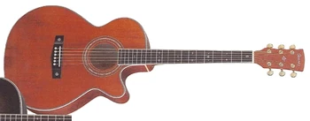 AWG1000E | Ibanez Wiki | Fandom