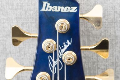 Ibanez pib1 2024