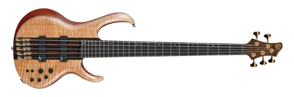 BTB1905 | Ibanez Wiki | Fandom
