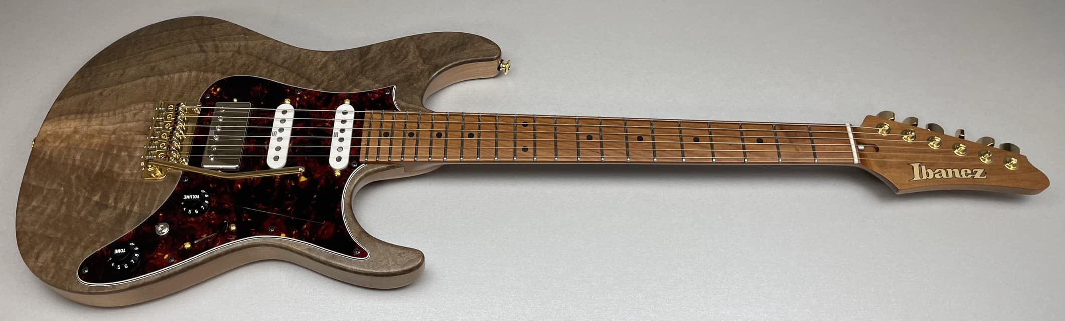 JCAZ22S01 | Ibanez Wiki | Fandom