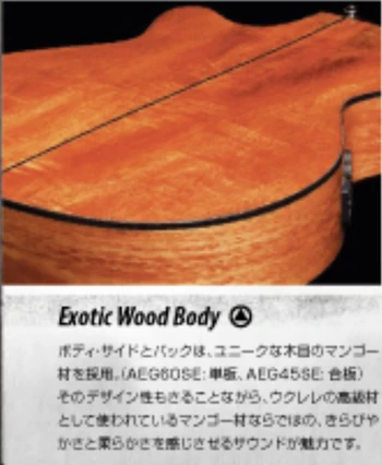 AEG60SE | Ibanez Wiki | Fandom