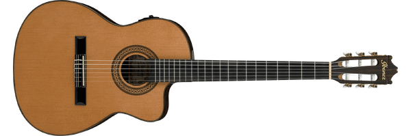 Ibanez ga outlet series ga5tce