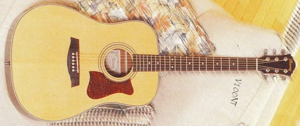 V100 (1998) | Ibanez Wiki | Fandom