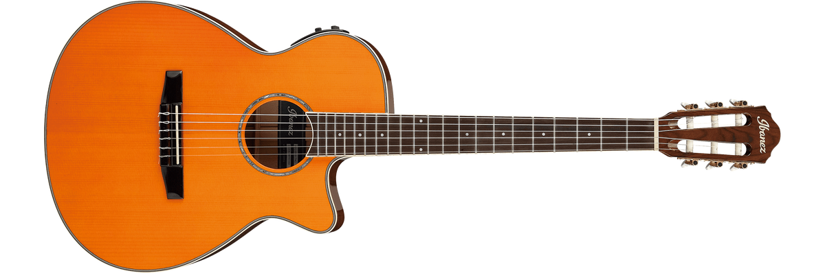 Ibanez aeg10n11 outlet