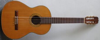 ACCENTUS Music C Major EuroArts 2017カタログ Classical guitars size 4/4 - STAR'S MUSIC - Star's Music