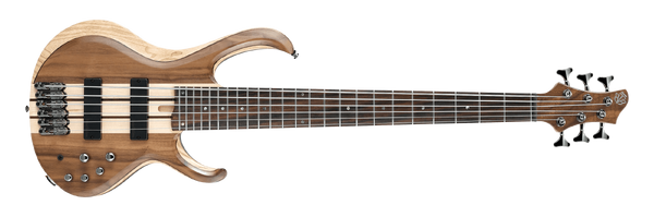 Ibanez 6 string fretless bass hot sale