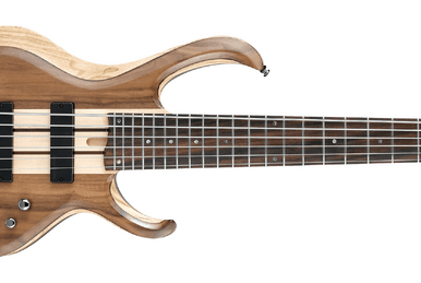 Ibanez btb846f deals