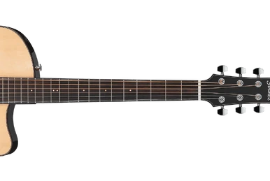 AEWC11 | Ibanez Wiki | Fandom