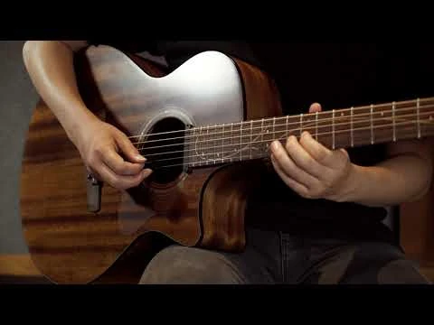 Ibanez_AE295_Acoustic_Guitar