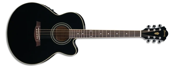 AEL8E | Ibanez Wiki | Fandom