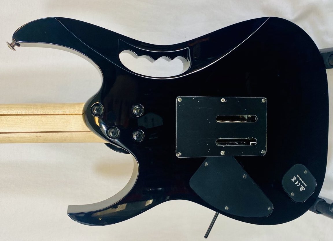 JEM77P | Ibanez Wiki | Fandom