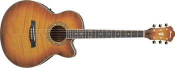 AEL20 | Ibanez Wiki | Fandom