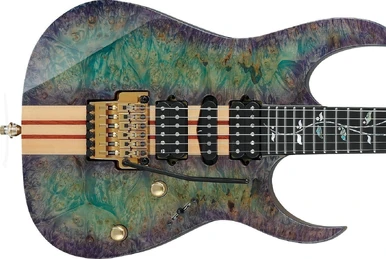 【美品】Ibanez j.custom RG8570ZSM-BGT RG8570ZSM | Ibanez Wiki | Fandom