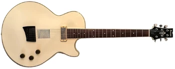 AE200 | Ibanez Wiki | Fandom