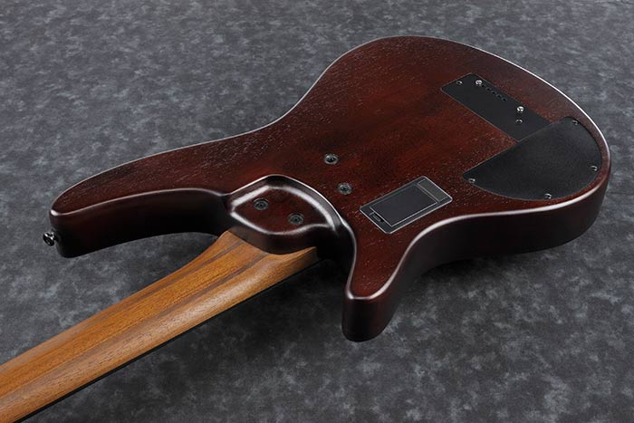Amazon.com: Ibanez SRH505F Fretless - Natural Browned Burst