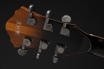 AMV100FMD | Ibanez Wiki | Fandom