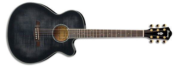 AEG240 Ibanez Wiki Fandom