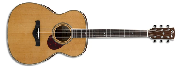 AVM10 | Ibanez Wiki | Fandom