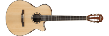 AEG10N Ibanez Wiki Fandom