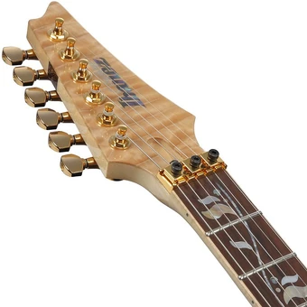 RG8570ZQM | Ibanez Wiki | Fandom