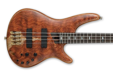 S540BM | Ibanez Wiki | Fandom